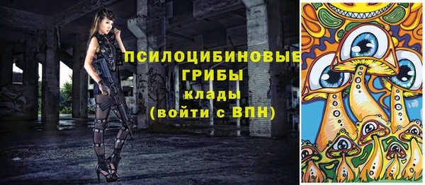 PSILOCYBIN Баксан