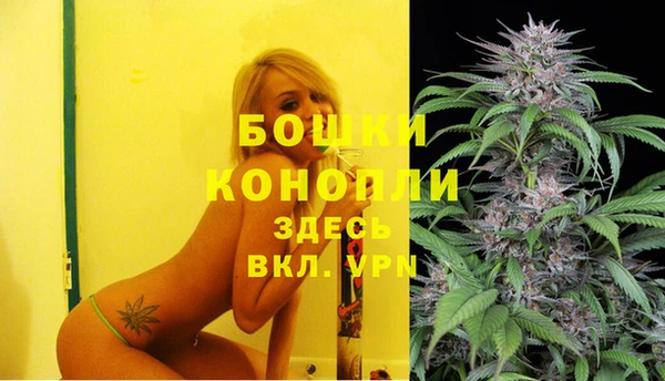 PSILOCYBIN Баксан
