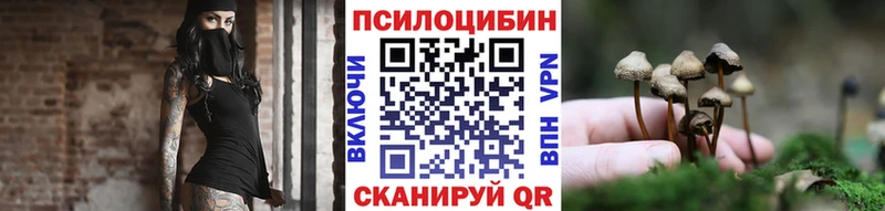 Псилоцибиновые грибы Psilocybe  Фрязино 